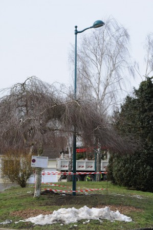 L'éclairage Impasse des mésanges.